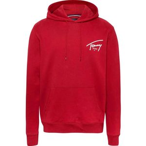 Tommy Hilfiger Dm0dm19229 Sweatshirt