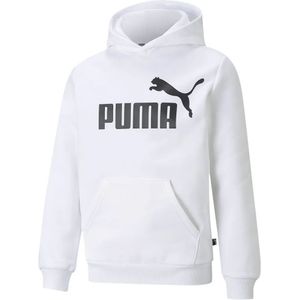 Puma Essential Big Logo Hoodie