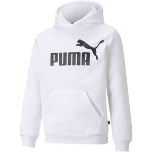 Puma Essential Big Logo Hoodie Wit 5-6 Years Jongen