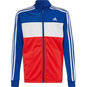 Adidas Essentials Track Suit Blauw 3-4 Years