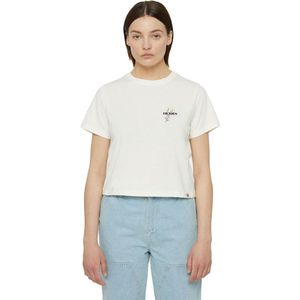 Dickies - Herndon - T-shirt - Beige - Korte Mouwen