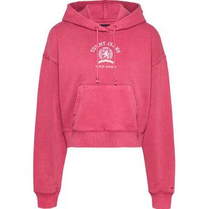 Tommy Hilfiger Dw0dw20311 Hoodie