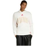 Adidas Stadium Graphic Hoodie