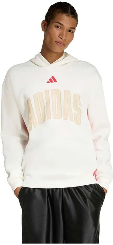 Adidas Stadium Graphic Hoodie