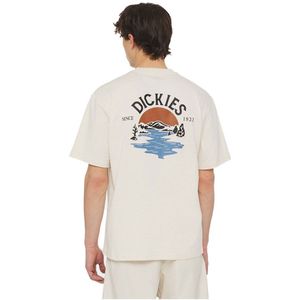 Dickies Beach Short Sleeve T-shirt Beige S Man
