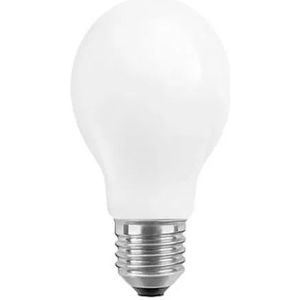 Lamp - A-vorm - Mat - E27 - 6.5 W - 550 lm