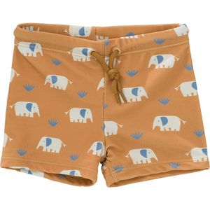 Fresk Olifantenbokser