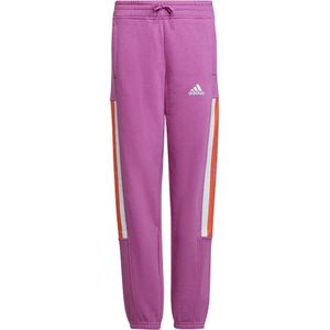 Adidas Essentials Bl Warm Pants Paars 11-12 Years