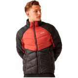 Regatta - Dalent - Donsjack - Lichtgewicht - Waterafstotend - Antibacterieel