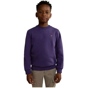 Napapijri Balis 2 Sweatshirt