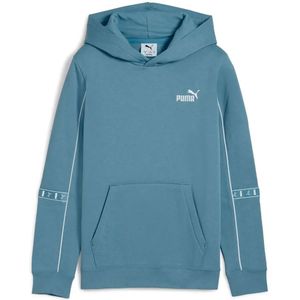 Puma Ess Tape Layout Hoodie