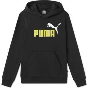 Puma Ess+ 2 Col Big Logo Hoodie