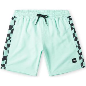 O´neill Cali Panel 14´´ Zwembroek