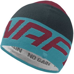 Dynafit Radical Beanie Veelkleurig  Man