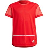 Adidas - Hr T-shirt - Korte Mouwen - Junioren - HEAT.RDY - Primegreen
