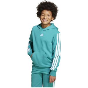 adidas - Hoodie - Zwart - Katoenmix - Met Capuchon