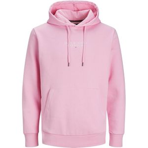 Jack & Jones Bluarchie Hoodie