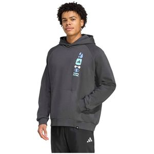 Adidas Power Graphic Hoodie