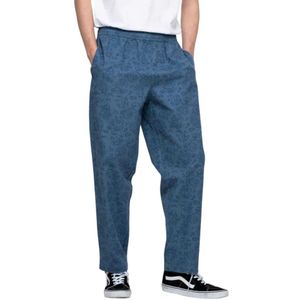 Santa Cruz Tab Broek