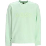 Boss Salbo 10256713 Sweatshirt