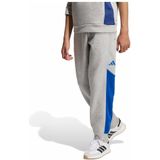 Adidas Color Block Joggers