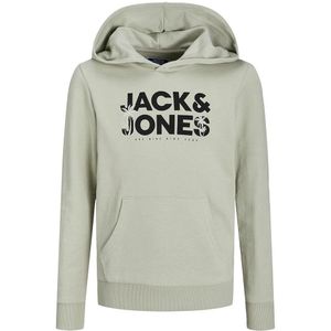 Jack & Jones Embro Palm Hoodie