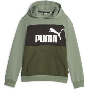 Puma Ess Block Fl Hoodie Groen 5-6 Years Jongen