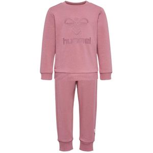 Hummel Arine Tracksuit Roze 4-6 Months Meisje