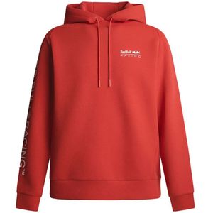 Red Bull Racing - RBR PIT CREW GRAPHIC HOODY - Sweatshirt - Rood