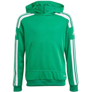 Adidas Squadra 21 Hoodie Groen 11-12 Years