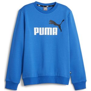 Puma Ess+ 2 Col Big Logo Hoodie Blauw 4-5 Years Jongen