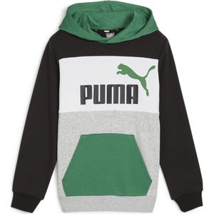 Puma Ess Block Hoodie