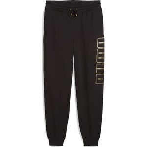 Puma Maximal Metallic Fl Trainingsbroek