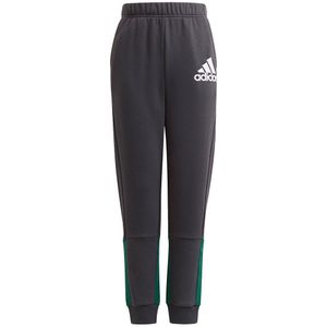 Adidas Bos Broek