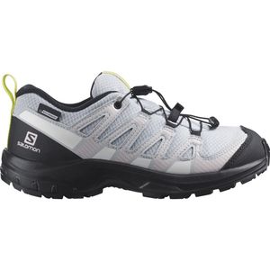 Salomon Xa Pro V8 Cswp Hiking Shoes Zwart EU 33