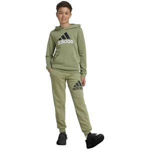 Adidas Essentials Regular Fit Big Logo Cotton Joggers Groen Jongen