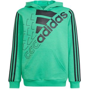 Adidas Logo Hoodie Groen 3-4 Years