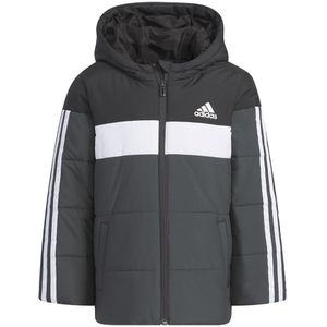 Adidas Lk Pad Jacket Zwart 9-10 Years