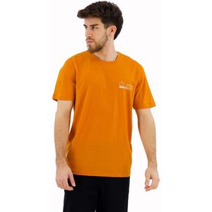 Icebreaker 150 Tech Lite Ii Mountain Merino T-shirt Met Korte Mouwen