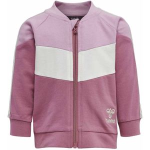 Hummel Sakina Full Zip Sweatshirt Roze 4-6 Months