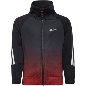Adidas Dy Mm Jacket Zwart 12-24 Months