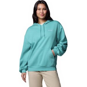 Columbia Aldermore™ Hoodie