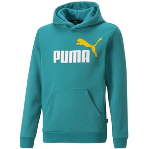 Puma Essentials+ 2 Col Big Logo Fl Sweatshirt Groen 7-8 Years