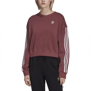 Adidas Originals Adicolor Sweatshirt Roze 40 Vrouw