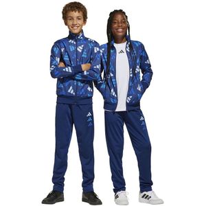 Adidas Seasonal Essentials Logo Celebration Tricot Trainingspak