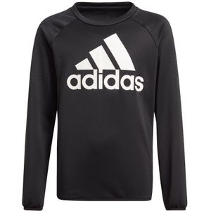 Adidas Designed To Move Big Logo Sweatshirt Zwart 9-10 Years