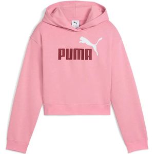Puma Ess 2 Color Nº 1 Logo​ Fl Hoodie