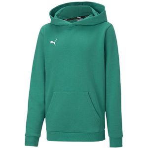 Puma Teamgoal 23 Casuals Hoodie