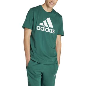 Adidas Essentials Single Jersey Big Logo Short Sleeve T-shirt Groen 2XL / Regular Man