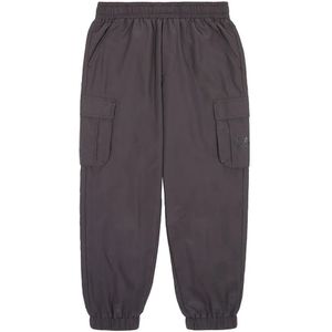 EA7 - 7B000029_AF12872 - Cargobroek - Grijs - Polyester - Casual